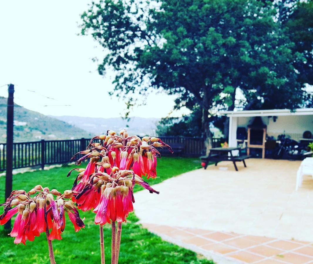 Villa Casa Molina à Alcaucín Extérieur photo
